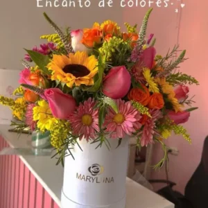 Gerbera Mix