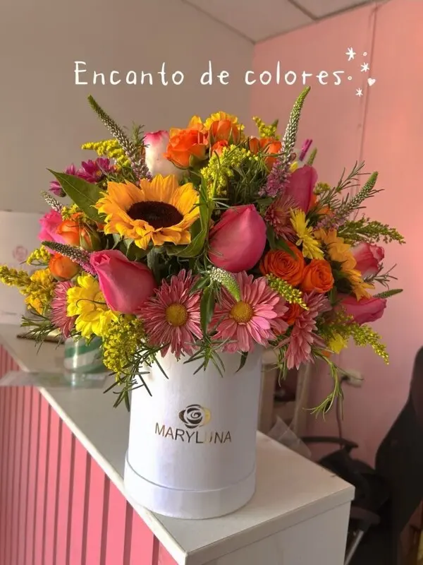 Gerbera Mix