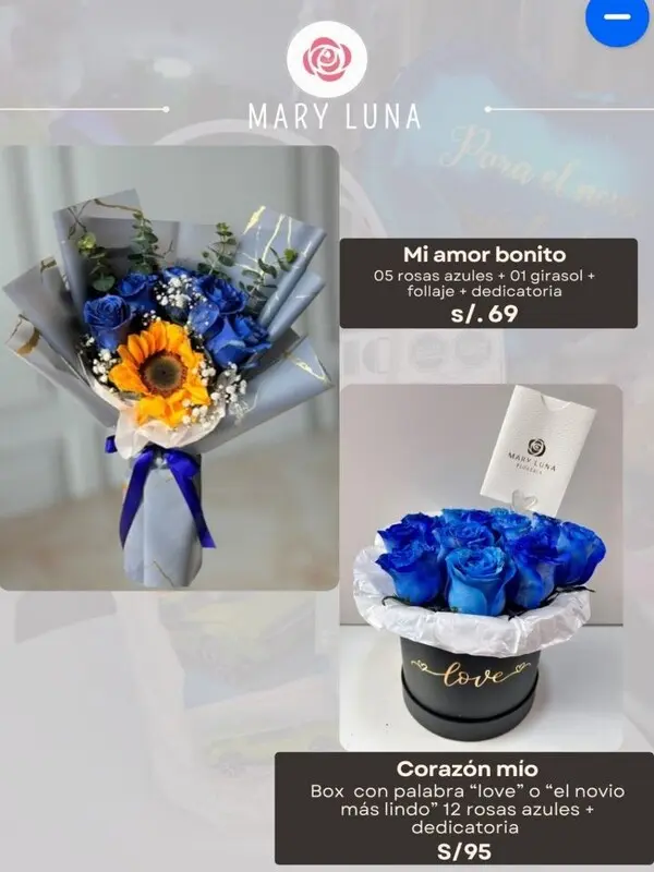 Orquideas Azules