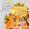 15 Canasta primavera