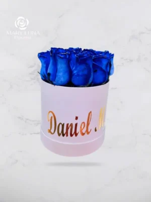 Box Azul